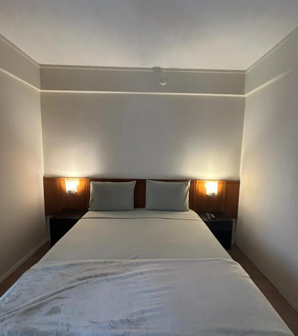 Hotel Ibira Vila Mariana Borges Lagoa Com Garagem 915 São Paulo 0*,